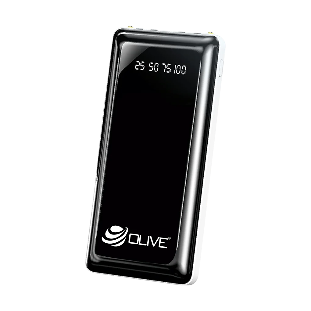 OL-22 Power Bank