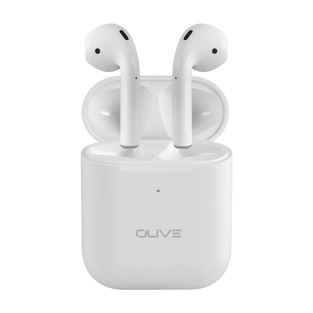 OL-2 Earbuds